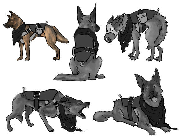 Apocalyptic Dog Character Design (2024)